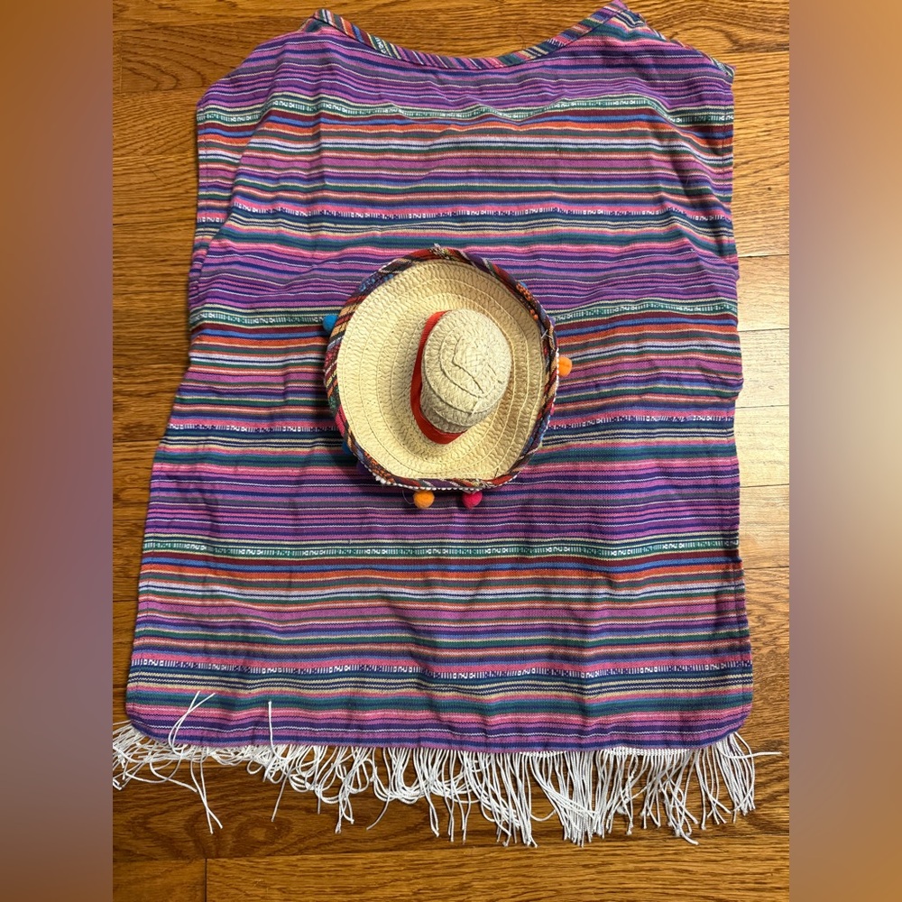 Colorful Striped Poncho with Fringe and sombrero dog costume